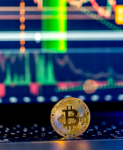 MonetraVest Informazioni sul Trading